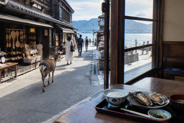 Bus Day, Lunch Included, Hiroshima