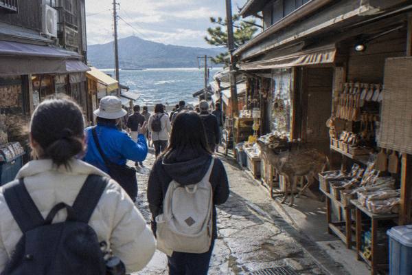 Half-Day Miyajima, Guide, Miyajima
