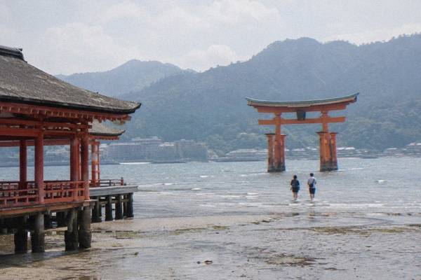 Private Floating Torii, 3 Hours, Miyajima
