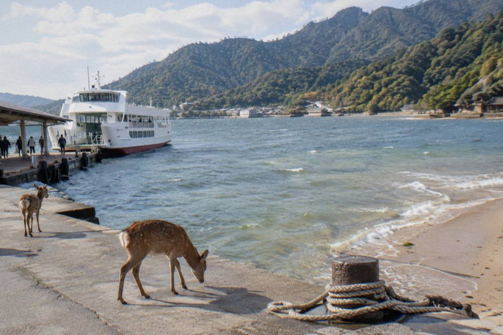 Shallow calm water over a sandy seabed at an island beach with forested hills behind