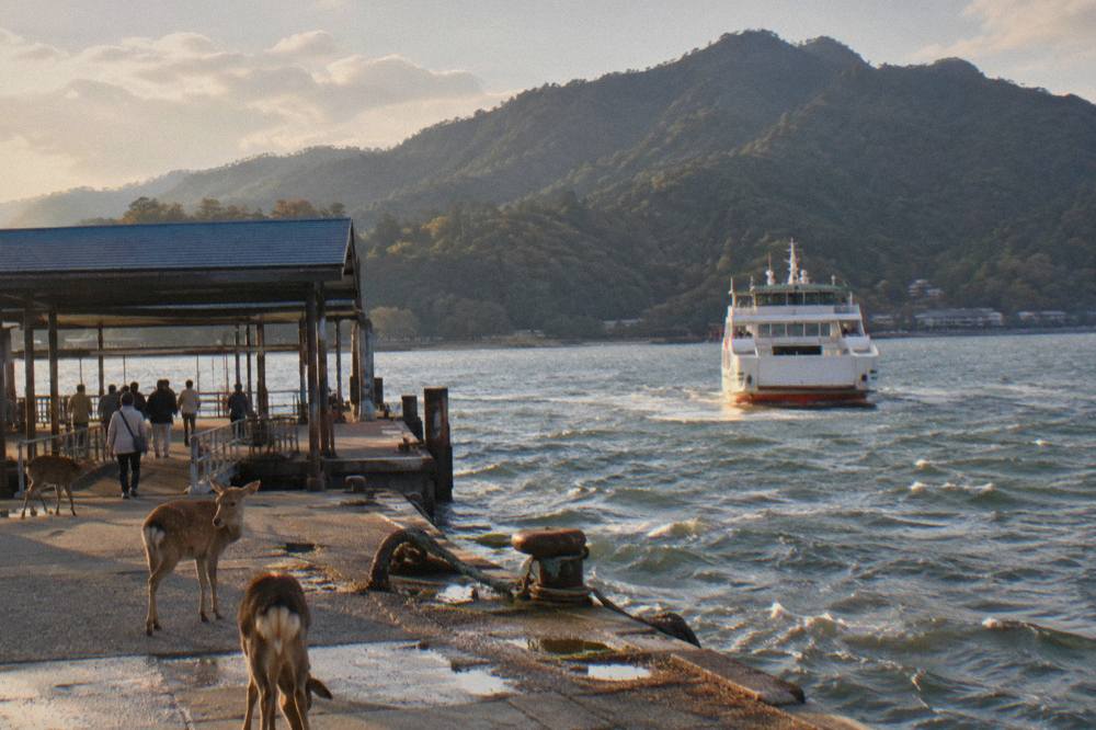 A ferry approaching the Miyajima island pier with the wooded slopes of Mount Misen in the background