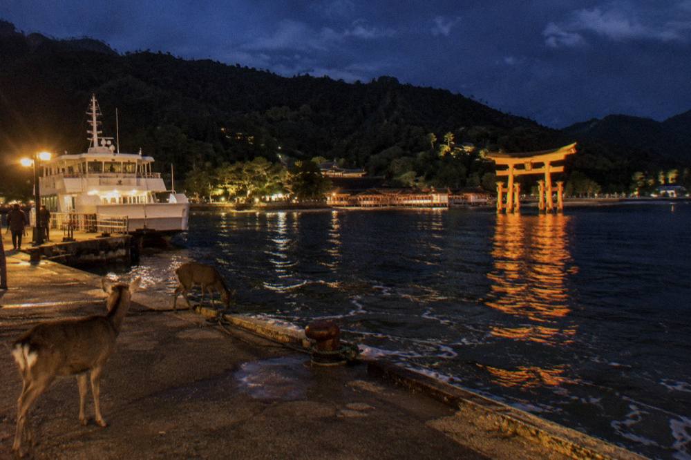 The illuminated torii of Miyajima reflected in calm shallow water at night with the shrine buildings softly lit behind