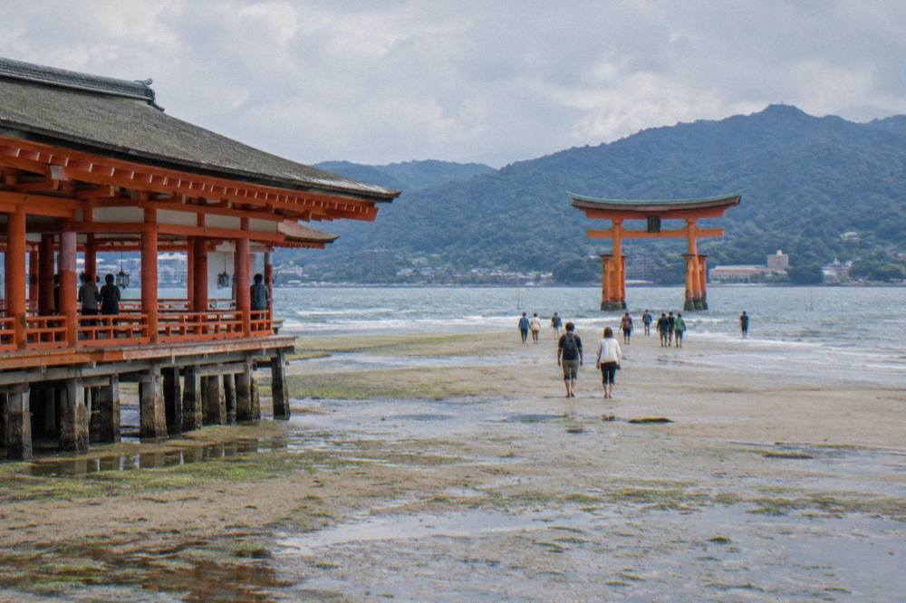 Visitors walking across the exposed seabed toward the Great Torii at low tide on Miyajima