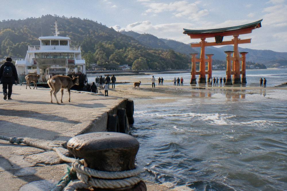 Visitors standing on the exposed seabed beside the base of the Great Torii at low tide on Miyajima