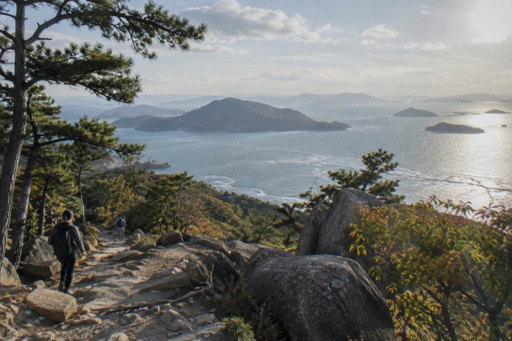 A forested hiking trail with rocks and tree roots climbing Mount Misen on Miyajima
