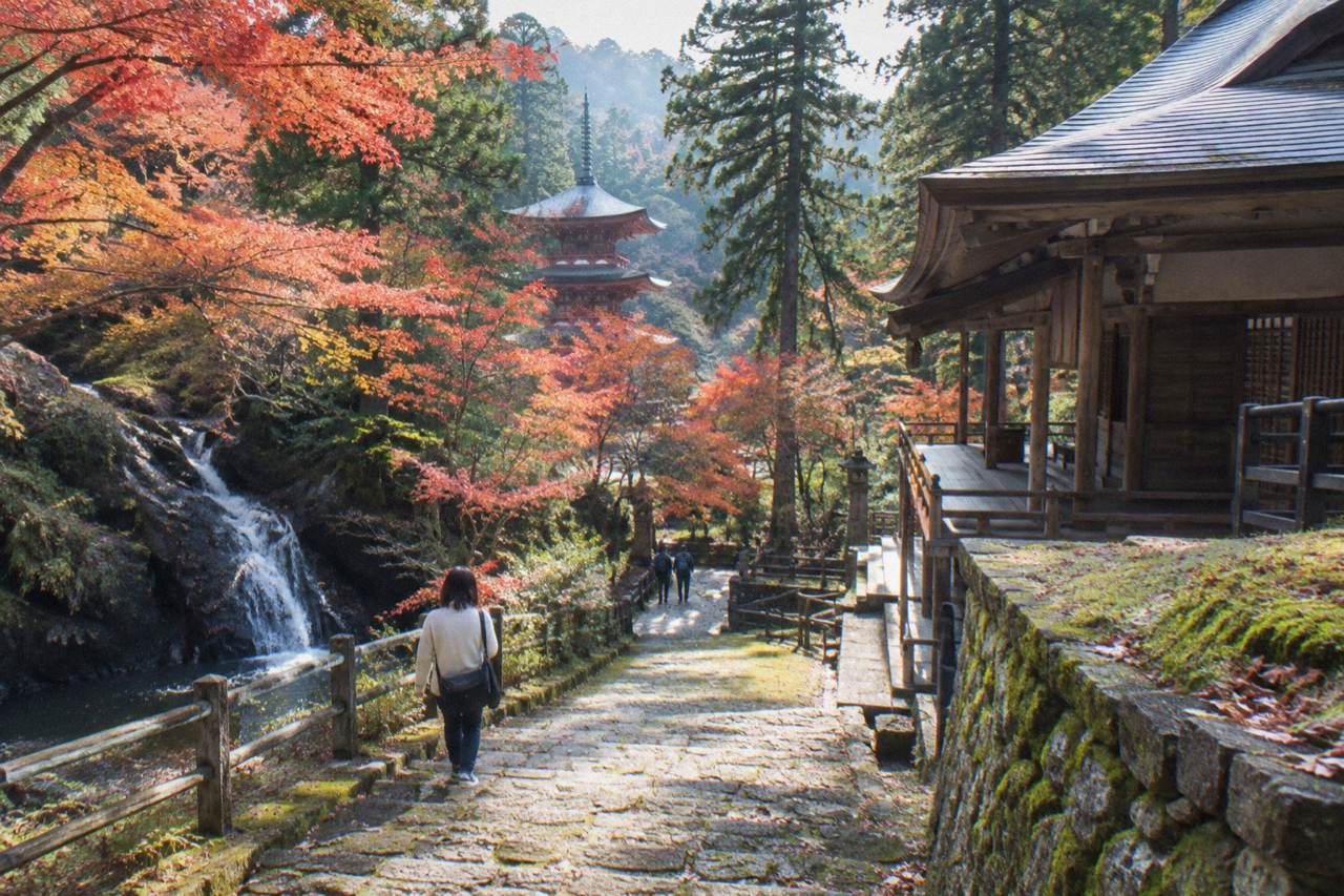 A quiet wooden temple hall beside a small waterfall in a forested hillside valley