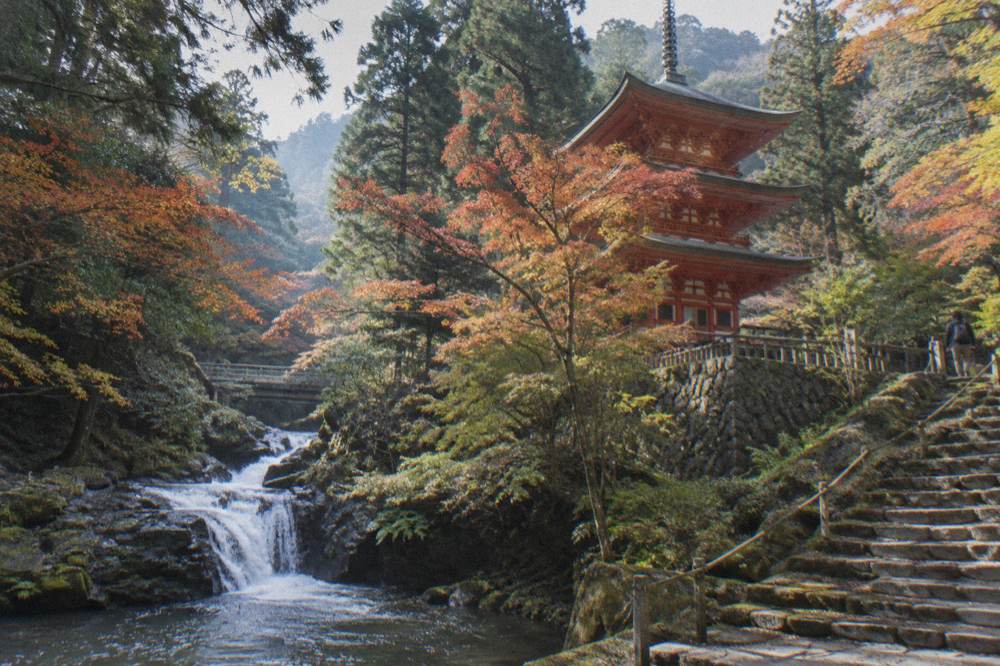A vermilion pagoda standing among trees above a stream
