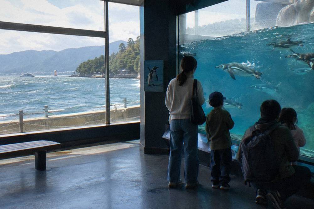 A family with children watching penguins swim behind a glass wall in a dim aquarium hall