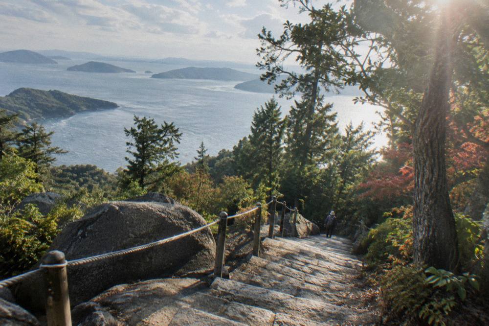 Stone steps climbing through dense forest on a mountainside trail