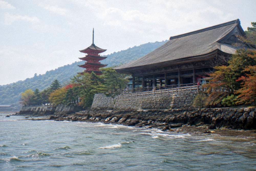 Roof tiles and dark timber eaves of the hillside hall seen from below