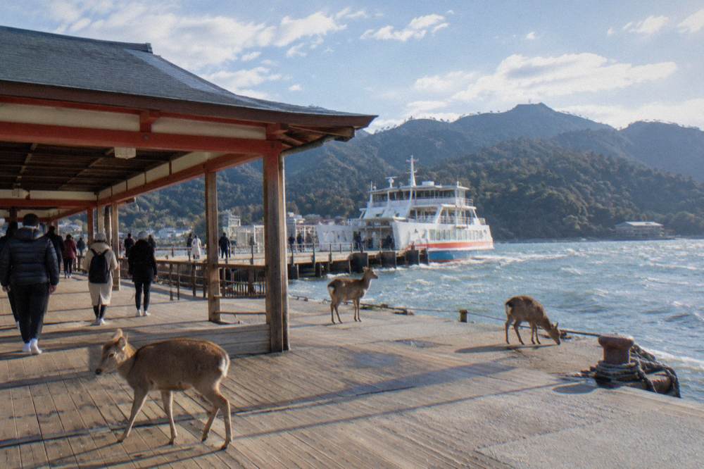 Visitors in socks walking the wooden floor of the open-sided hall on Miyajima