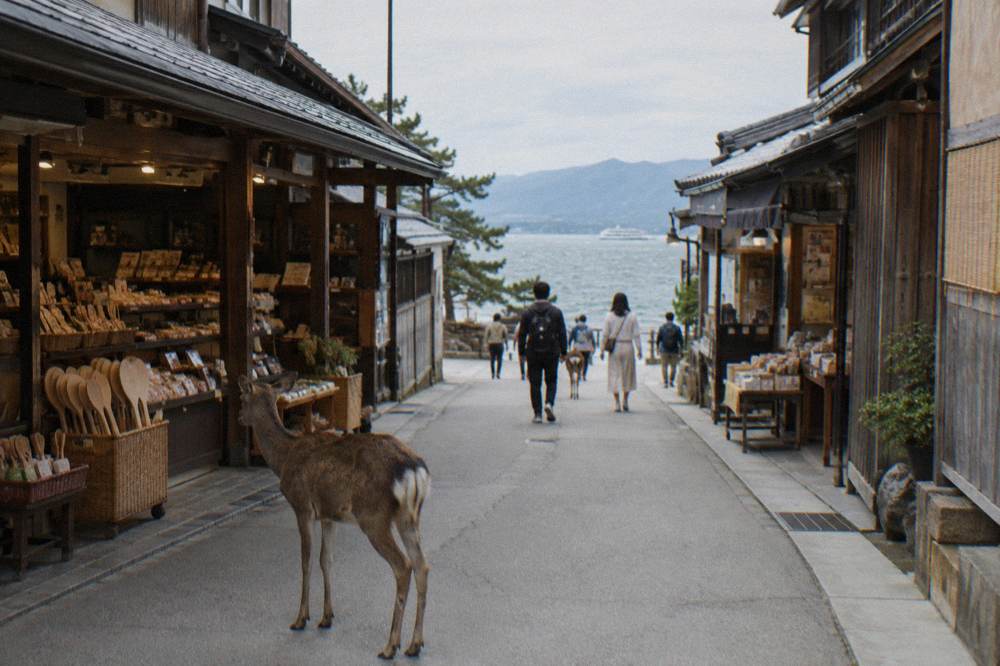 The shopping street of Omotesando on Miyajima lined with small shops