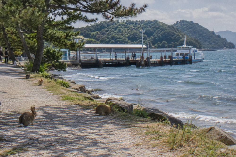 The ferry pier at Okunoshima with wooded hills rising behind it