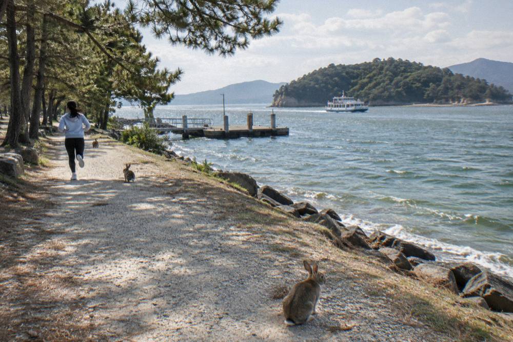 A ferry boat crossing calm green water toward an island shore