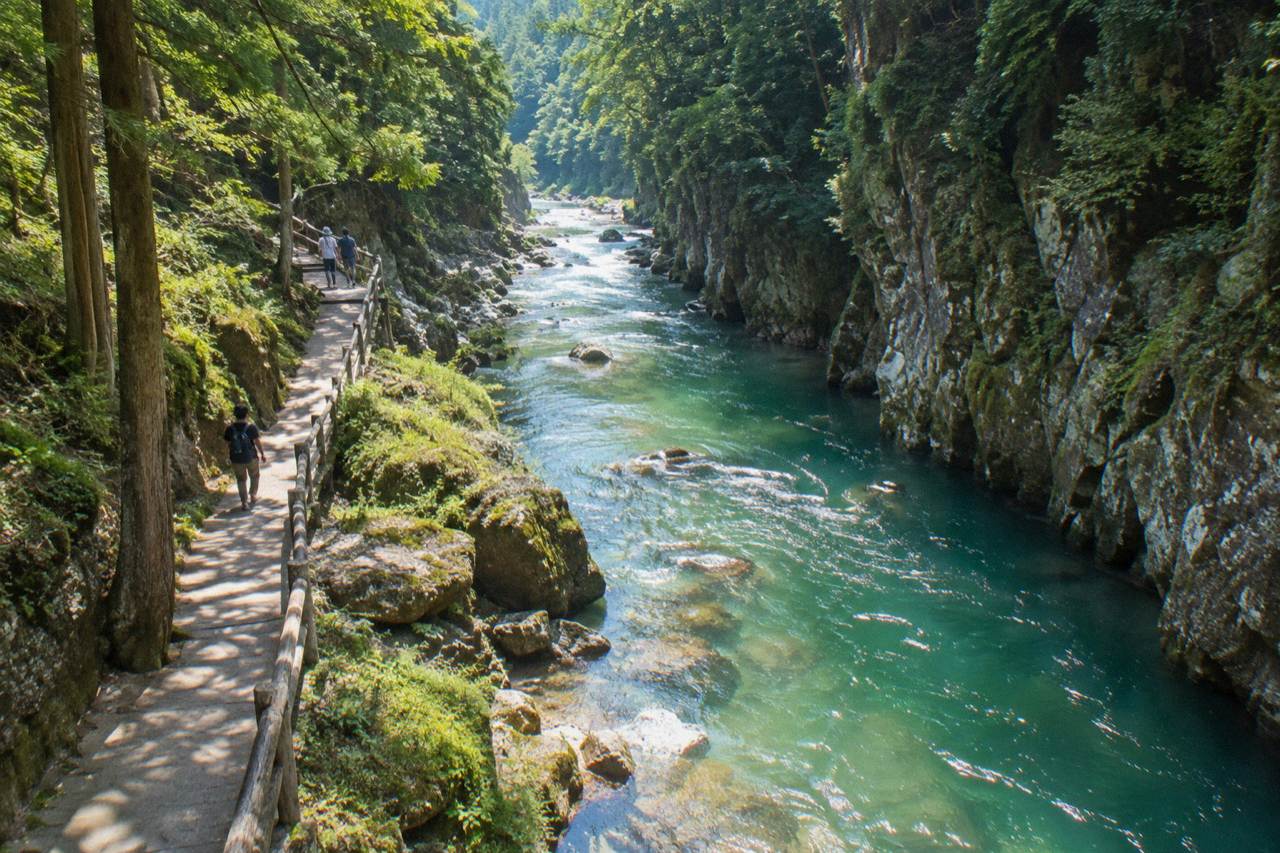 A deep green river gorge with tall forested cliffs on both sides and calm turquoise water below