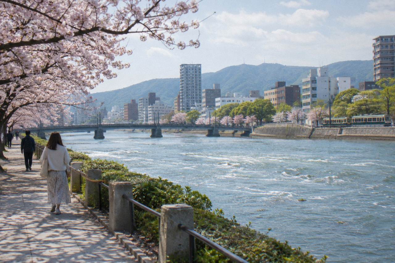 Cherry trees in bloom along a riverside path in Hiroshima with the city skyline behind