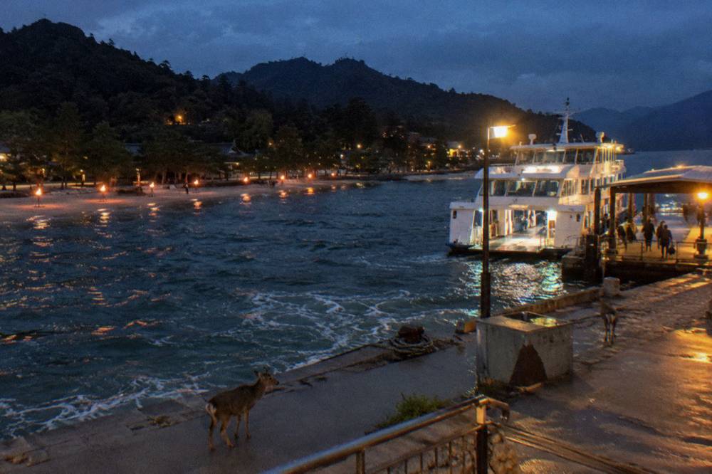 Torches burning along a beach on Miyajima island at dusk