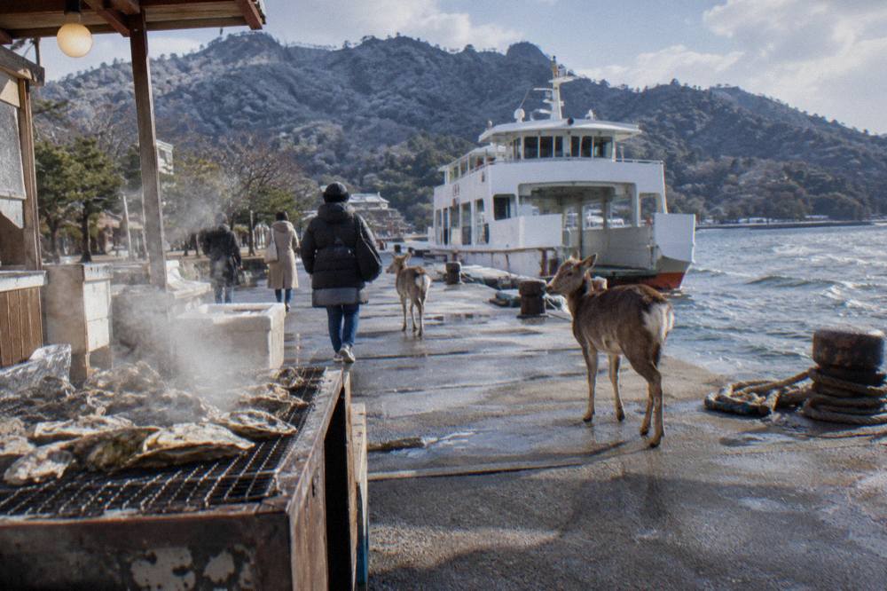 Steam rising from grilled oysters cooking at a street stall on Miyajima island