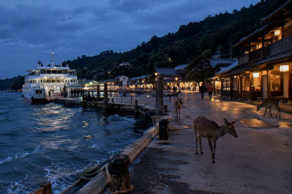 Visitors walking along the shopping street of Omotesando on Miyajima with traditional buildings either side