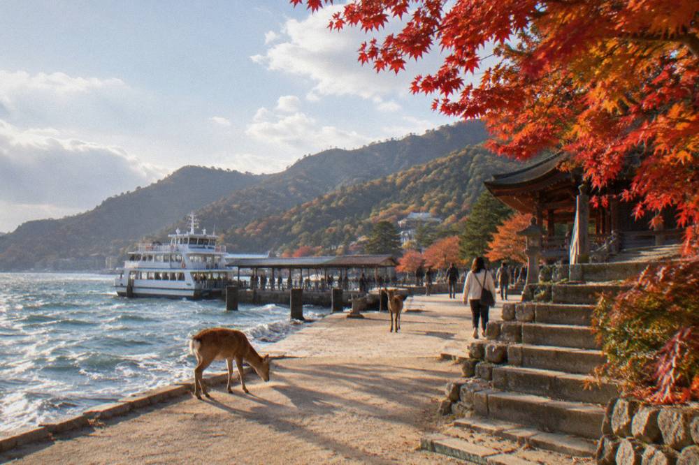 Maple leaves framing stone steps leading to a temple hall on Miyajima