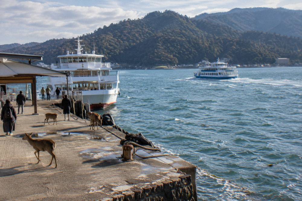A JR Miyajima Ferry boat crossing the water toward Miyajima island