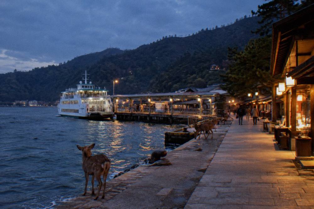 A quiet stone-paved street on Miyajima at dusk with lanterns glowing along the shopfronts